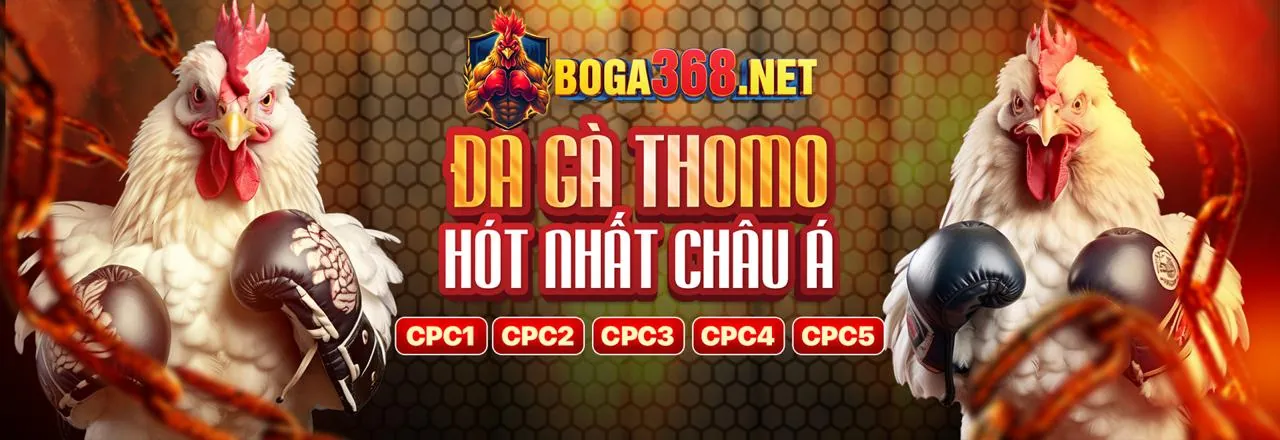 Đá gà trực tuyến xeng88